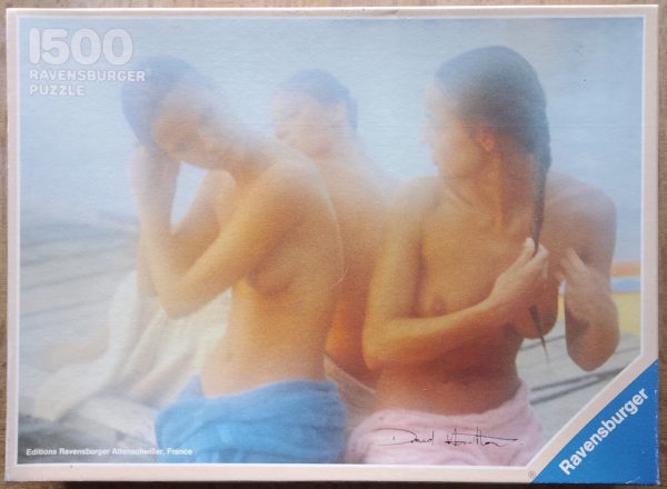 Image of the puzzle 1500, Ravensburger, After the Dip, by David Hamilton, Complete, Picture of the box