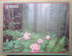 Image of the puzzle 1000, MB, Rhododendron, by David Muench, Factory Sealed, Picture of the box