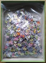 Image of the puzzle 1000, Heye, Lizard, by Marjolein Bastin, Complete, Picture of the bag
