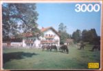 Image of the puzzle 3000, Fame, Germany Country House, Factory Sealed, Picture of the box