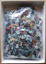 Image of the puzzle 2000, Nathan, Thé de Chine, by DEzy, Complete, Picture of the bag