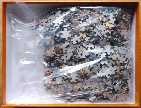 Image of the puzzle 1000, Pomegranate, In Brittany, by Pierre-Auguste Renoir, Complete, Picture of the bag