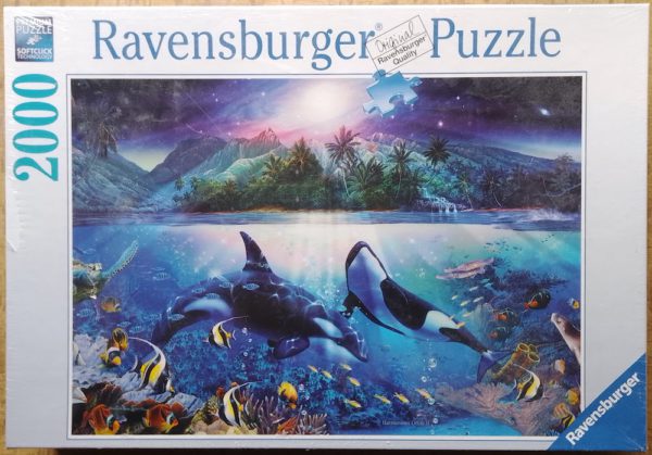 Acheter Nouveau Grand Puzzle 2000 Pièces 3000 1500 Rainbow Sea