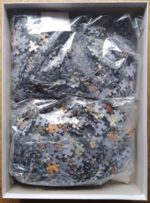 Image of the puzzle 1000x2, Jumbo, Playing Outside & Playing in the Rain, by Cornelis Jetses, Complete, Picture of the bag