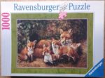 Image of the puzzle 1000, Ravensburger, Family of Foxes, by Daphne Baxter, Complete, Picture of the box