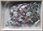 Image of the puzzle 1000, Ravensburger, Family of Foxes, by Daphne Baxter, Complete, Picture of the bag
