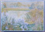 Image of the puzzle 1000, Mudel, Asters, by Emile Claus, Factory Sealed, Pictue of the box