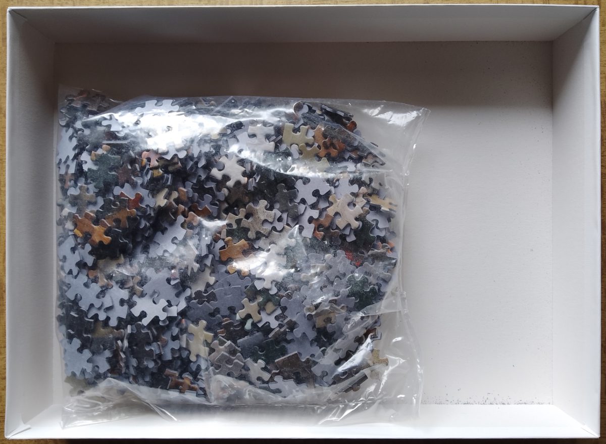 Image of the puzzle 1000, Tactic, The Convalescent, by Helene Schjerfbeck, Complete, Picture of the bag