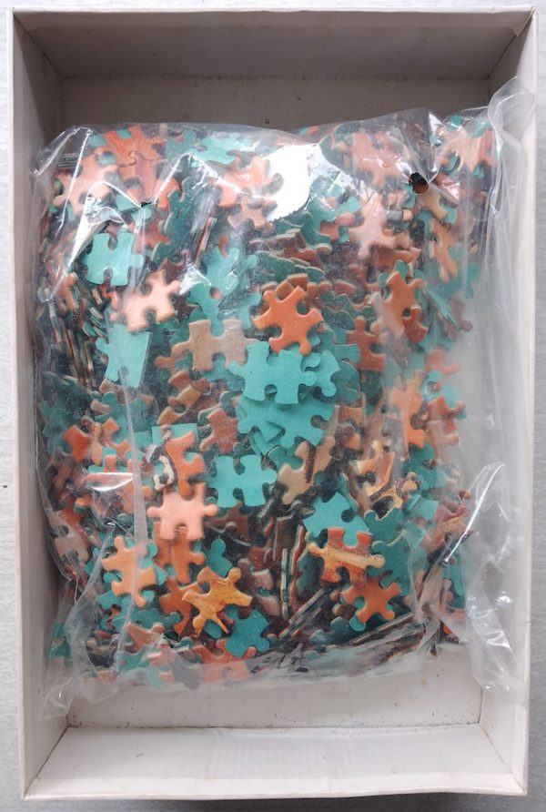 Image of the puzzle 750, Apli, The Young Ladies of Avignon, by Pablo Picassog, Sealed Bag, Picture of the bag