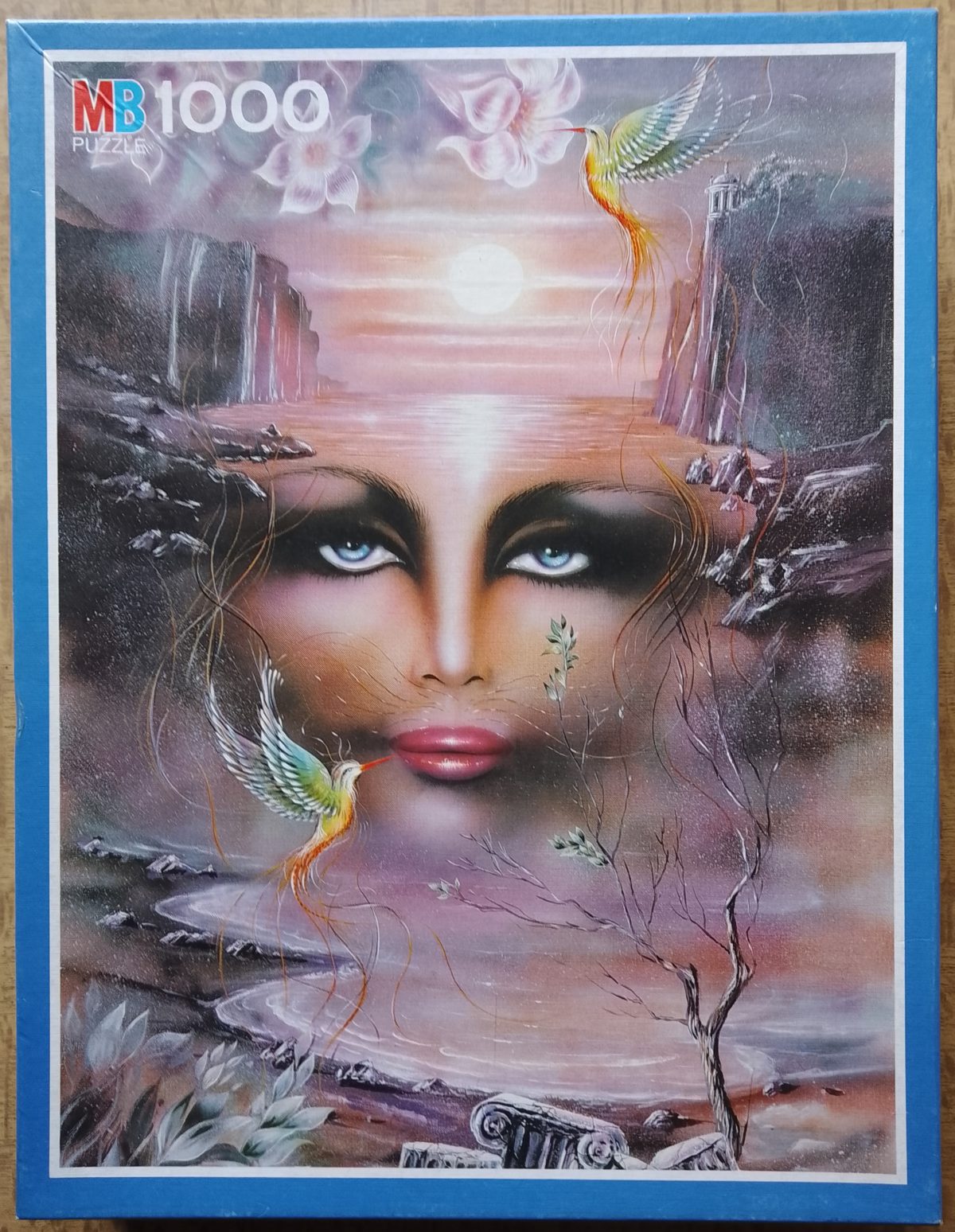 1000, MB, The Dream, Complete, 2023-01-03 Image of the puzzle 1000, MB, The Dream, Complete, Picture of the box