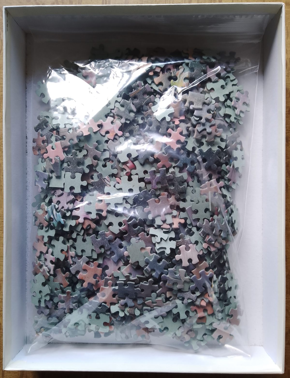 1000, MB, The Dream, Complete, 2023-01-03 Image of the puzzle 1000, MB, The Dream, Complete, Picture of the bag