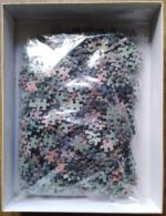 Image of the puzzle 1000, MB, The Dream, Complete, Picture of the bag