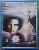 Image of the puzzle 1000, MB, Rebirth, Incomplete, Picture of the box