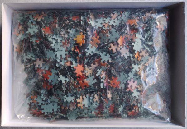 Image of the puzzle 2000, MB, Sleeping Beauty, by Holly Warburton, Sealed Bag, Picture of the bag