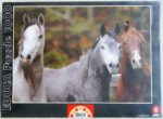 Image of the puzzle 1000, Educa, Arabian Horses, by Bob Langrish, Factory Sealed, Picture of the box