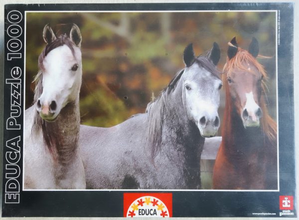 Image of the puzzle 1000, Educa, Arabian Horses, by Bob Langrish, Factory Sealed, Picture of the box