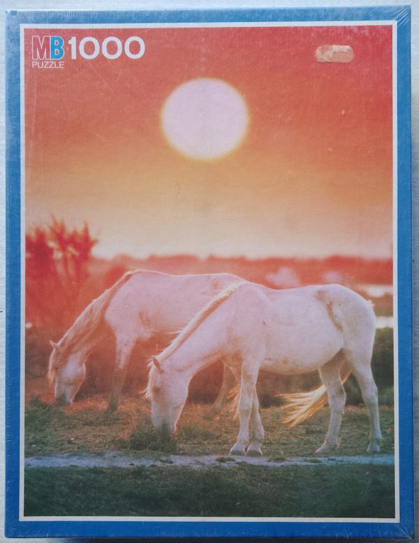 Image of the puzzle 1000, MB, Sunrise, by Alessandro Gandolfi, Factory Sealed, Picture of the box