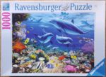 Image of the puzzle 1000, Ravensburger, Family of Dolphins, Walter Pepperle, Complete, Picture of the box