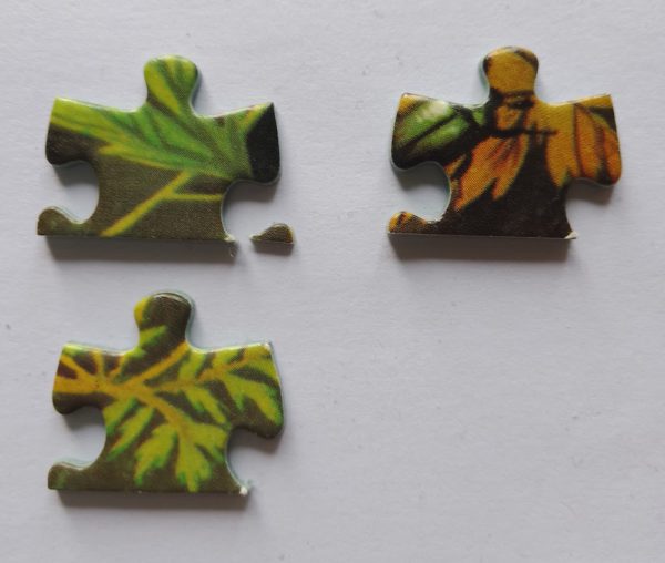 Image of the puzzle 750, Les Belles Images, Hiding in the Meadow, by Gerda Muller, Complete, Picture of the pieces