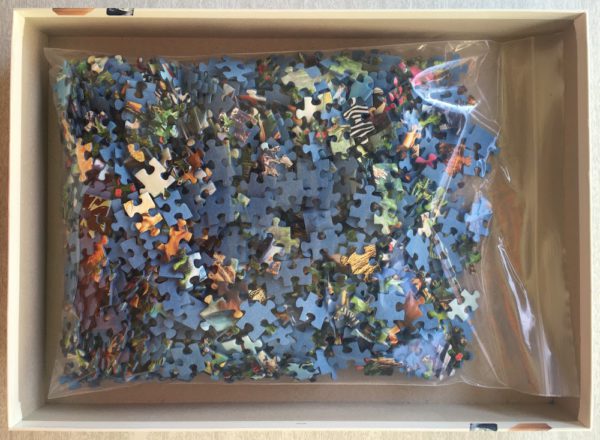Image of the puzzle 1000, Ravensburger, Adventures in the Jungle, by Jan Patrik Krásný, Complete, Picture of the box