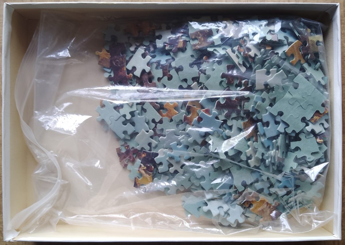 Image of the puzzle 600, F.X. Schmid, Walk with the Institute, by Carl Spitzweg, Complete, Picture of the bag