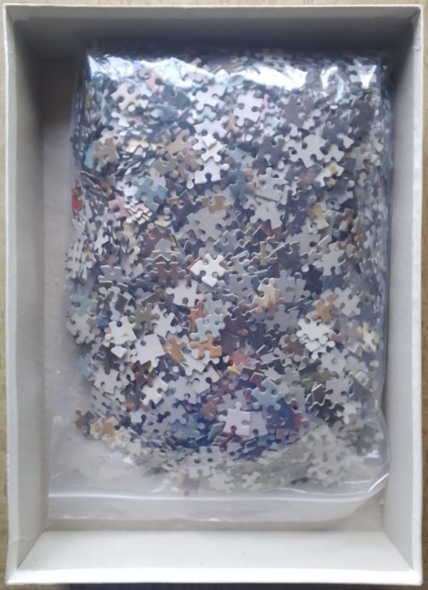 Image of the puzzle 3000, Bogi Design, Partridge Shooting, by Francisco de Goya, Incomplete, Picture of the bag