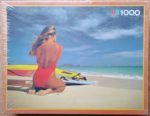 Image of the puzzle 1000, MB, Surf, Factory Sealed, Picture of the box