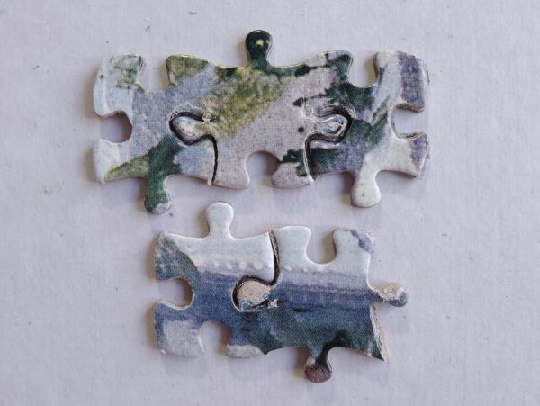 Image of the puzzle 3000, Fame, Garden by the Pond, by Barbara Felisky, Incomplete, Picture of the pieces