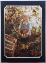 Image of the puzzle 816, Ravensburger, The Little Gardener, by François Gillet, Sealed Bag, Picture of the box
