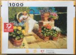 Image of the puzzle 1000, Druon, Reading, John Haskins, Factory Sealed, Picture of the box