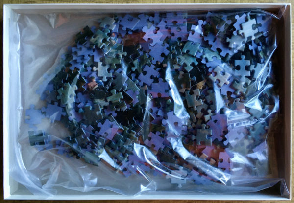 Image of the puzzle 500, Coudenberg, Infante Isabella in the Gardens of the Coudenberg Palace, Complete, Picture of the bag