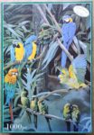 Image of the puzzle 1000, Otter House, Parrots of the World, by Pollyana Pickering, Complete, Picture of the box