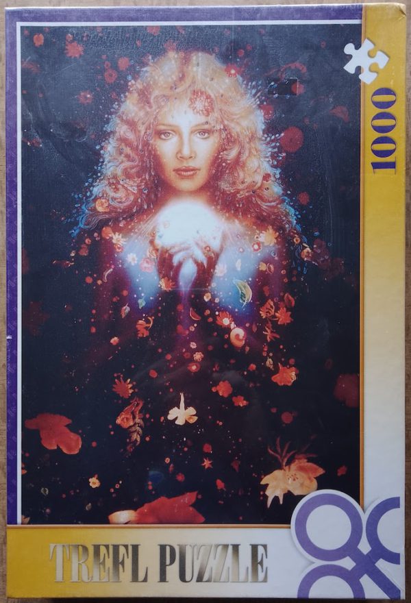 Image of the puzzle 1000, Trefl, The Sorcerer, by Klaus Holitzka, Factory Sealed, Picture of the box