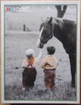 Image of the puzzle 1000, MB, Stroking the Horses, Factory Sealed, Picture of the box