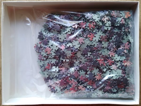 1500, International Team, Cheerfulness - Image 3