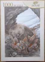 Image of the puzzle 1000, PTZ, Hedgehog, Astrid, Complete, Picture of the box