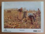 Image of the puzzle 750, Mudel, The Beet Harvest, by Emile Claus, Complete, Picture of the box