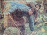 Image of the puzzle 750, Mudel, The Beet Harvest, by Emile Claus, Complete, Detail of the puzzle