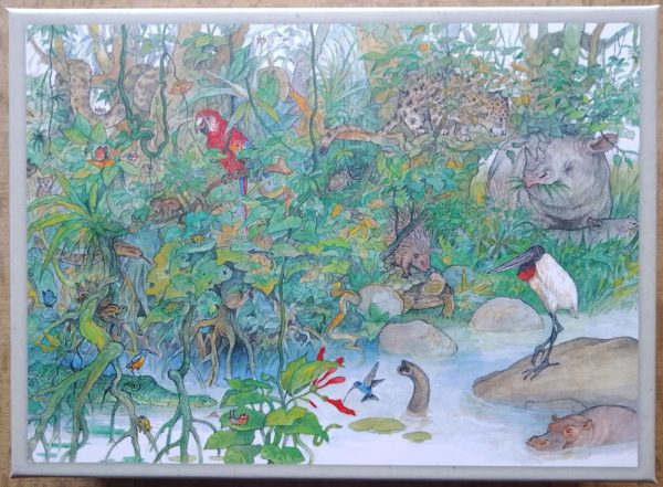 Image of the puzzle 1000, Bekking & Blitz, Amazing Animals, by Ingrid & Dieter Schubert, Complete, Picture of the box