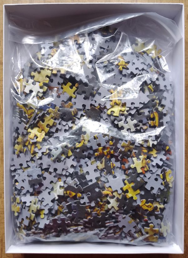 Image of the puzzle 1000, Puzzelman, Gouda, Sint Janskerk, Complete, Picture of the bag