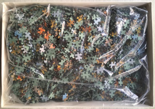 Image of the puzzle 4000, Educa, New Hampshire, USA, Sealed Bag, Picture of the bag