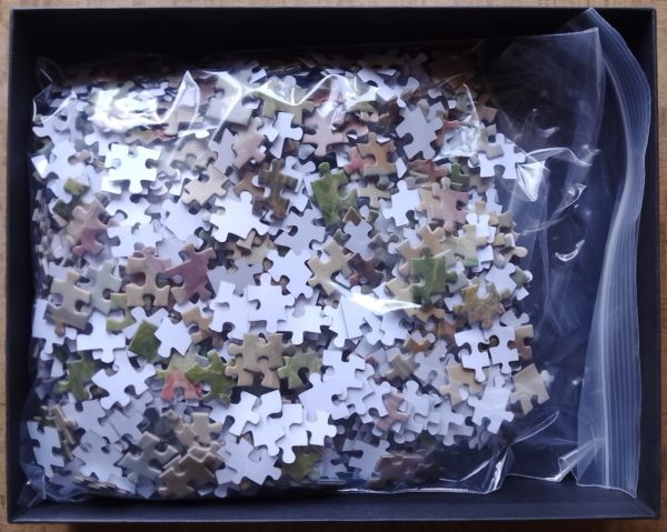 Image of the puzzle 1000, Artistic Rifki, A Flower Seller on the Champs-Élysées, by by Louis Marie de Schryver, Complete, Picture of the bag