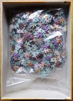 Image of the puzzle 1500, Druon, Lion and Cub, by Chris Hiett, Complete, Picture of the bag