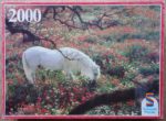 Image of the puzzle 2000, Schmidt, Pure Blood Stallion, by Robert Vavra, Complete, Picture of the box