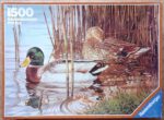 Image of the puzzle 1500, Ravensburger, Ducks, Willem de Beer, Complete, Picture of the box