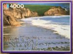 Image of the puzzle 4000, MB, Drakes Beach, California, by David Muench, Sealed Bag, Picture of the box