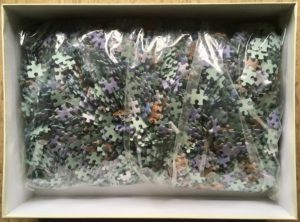 Image of the puzzle 4000, MB, Drakes Beach, California, by David Muench, Sealed Bag, Picture of the bag