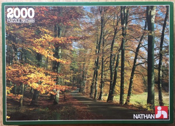 Image of the puzzle 2000, Nathan, The Woods in Autumn, Complete, Picture of the box