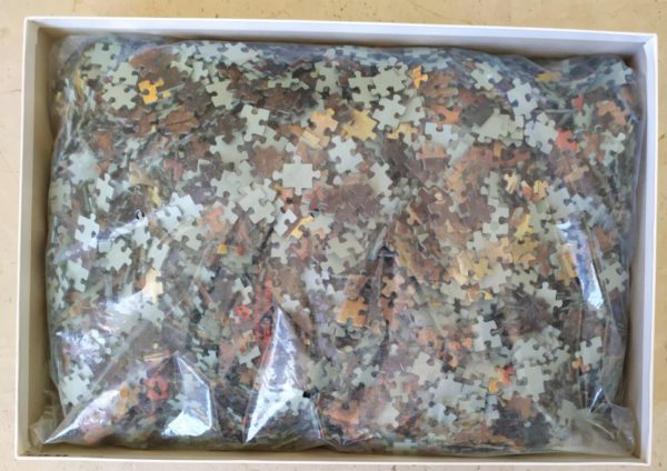 Image of the puzzle 5000, Nathan, The Combat of Lent and Mardi Gras, by Pieter Bruegel the Elder, Sealed Bag, Picture of the bag