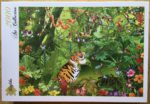 Image of the puzzle 2000, Grafika, Jungle, by François Ruyer, Factory Sealed, Picture of the box